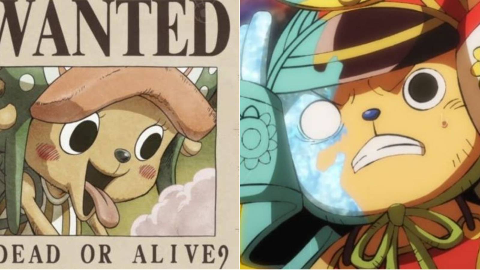 chopper's bounty