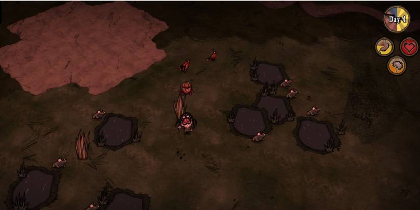 Don't Starve Pond
