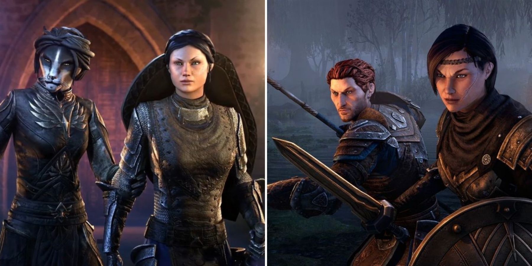 Elder scrolls companion featured