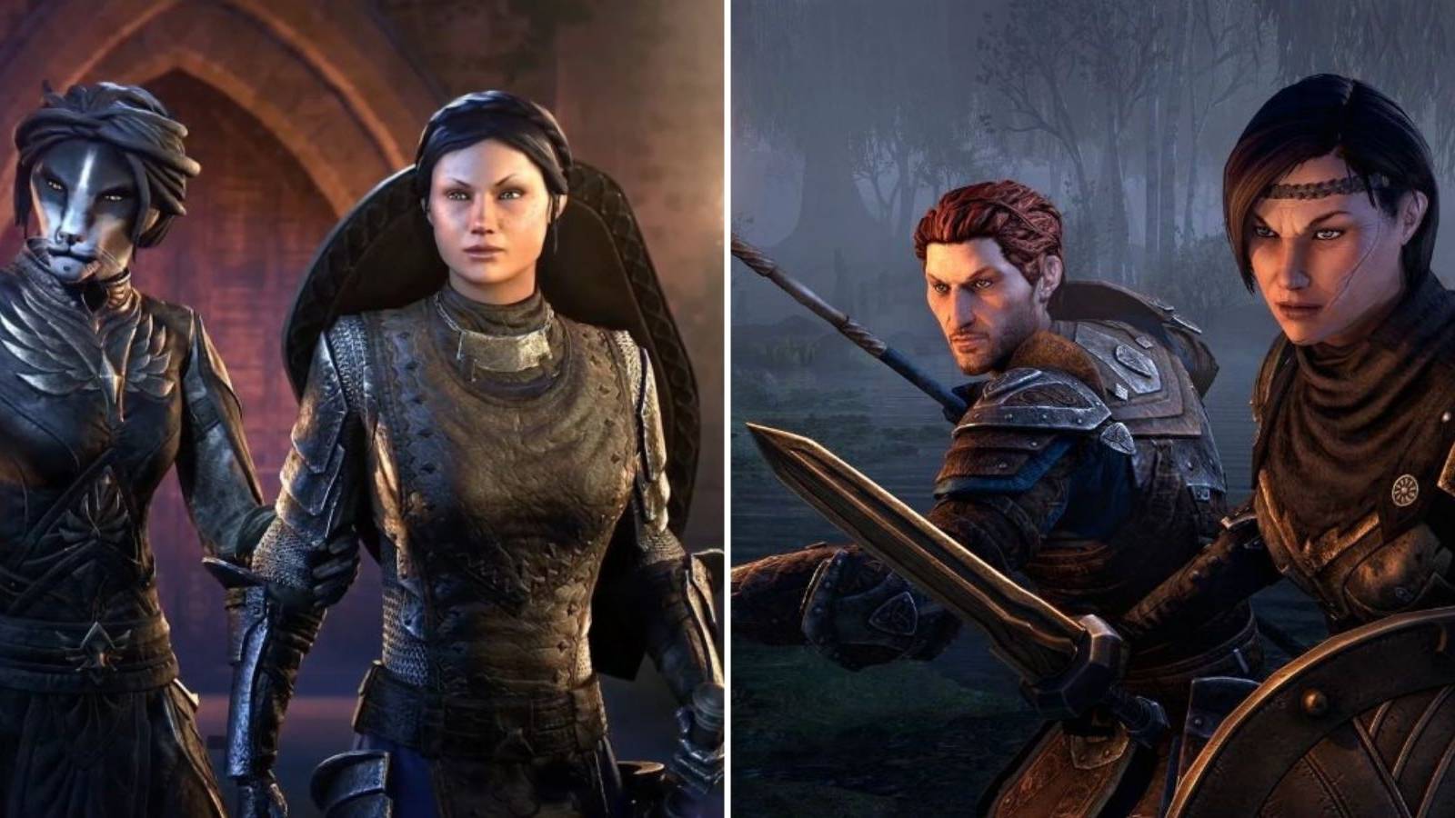 Elder scrolls companion featured