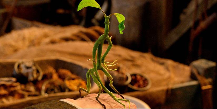 pickett bowtruckle fantastic beasts