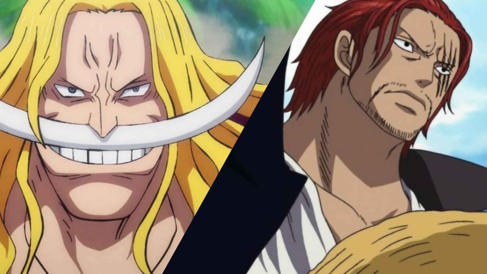 Featured Most Honorable Characters One Piece Shanks Whitebeard 