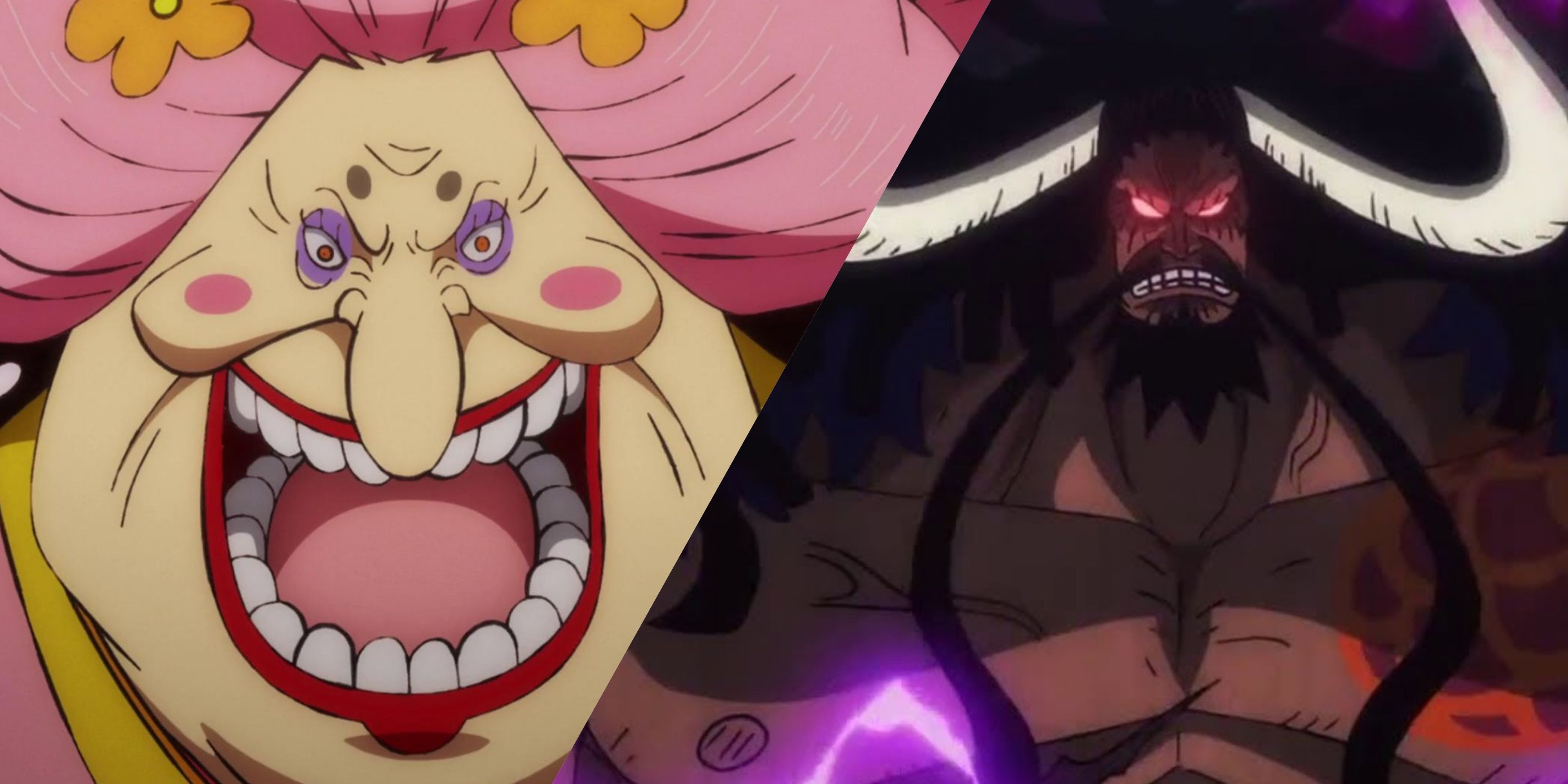 Kaido Reflects on Young Big Mom's Ambitions After Her Defeat