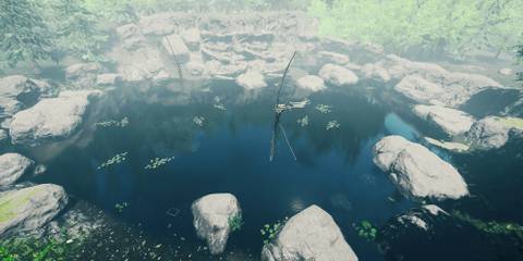 Goose Lake In The Forest