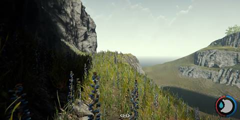 The Valley Area In The Forest