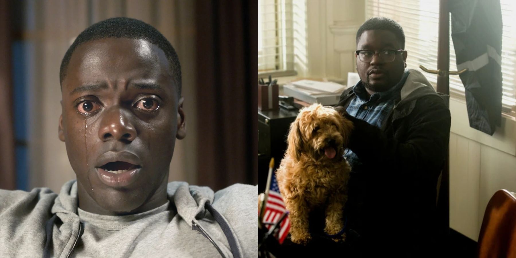 Chris Washington (Daniel Kaluuya) and Rod Williams (Lil Rel Howery) in Get Out