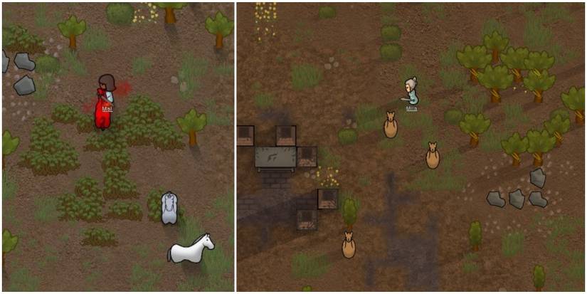 Player using the Gladius melee weapon in RimWorld