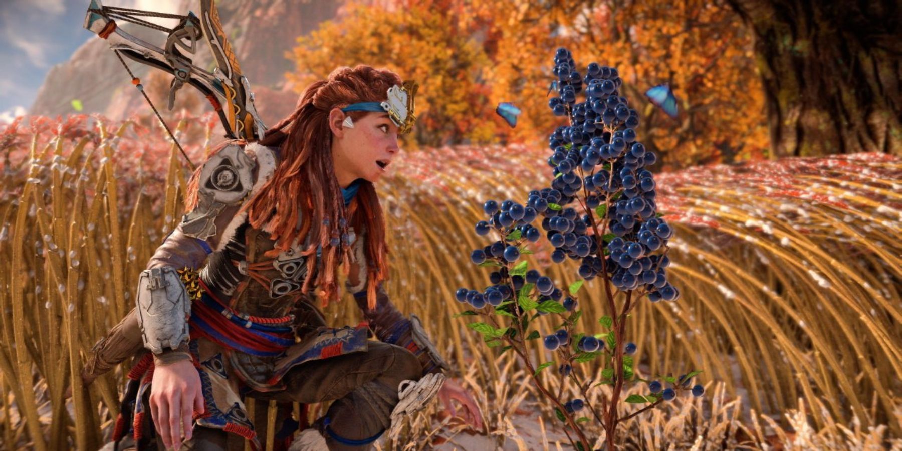 Aloy finding health