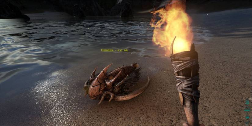 Hunting a Trillabite