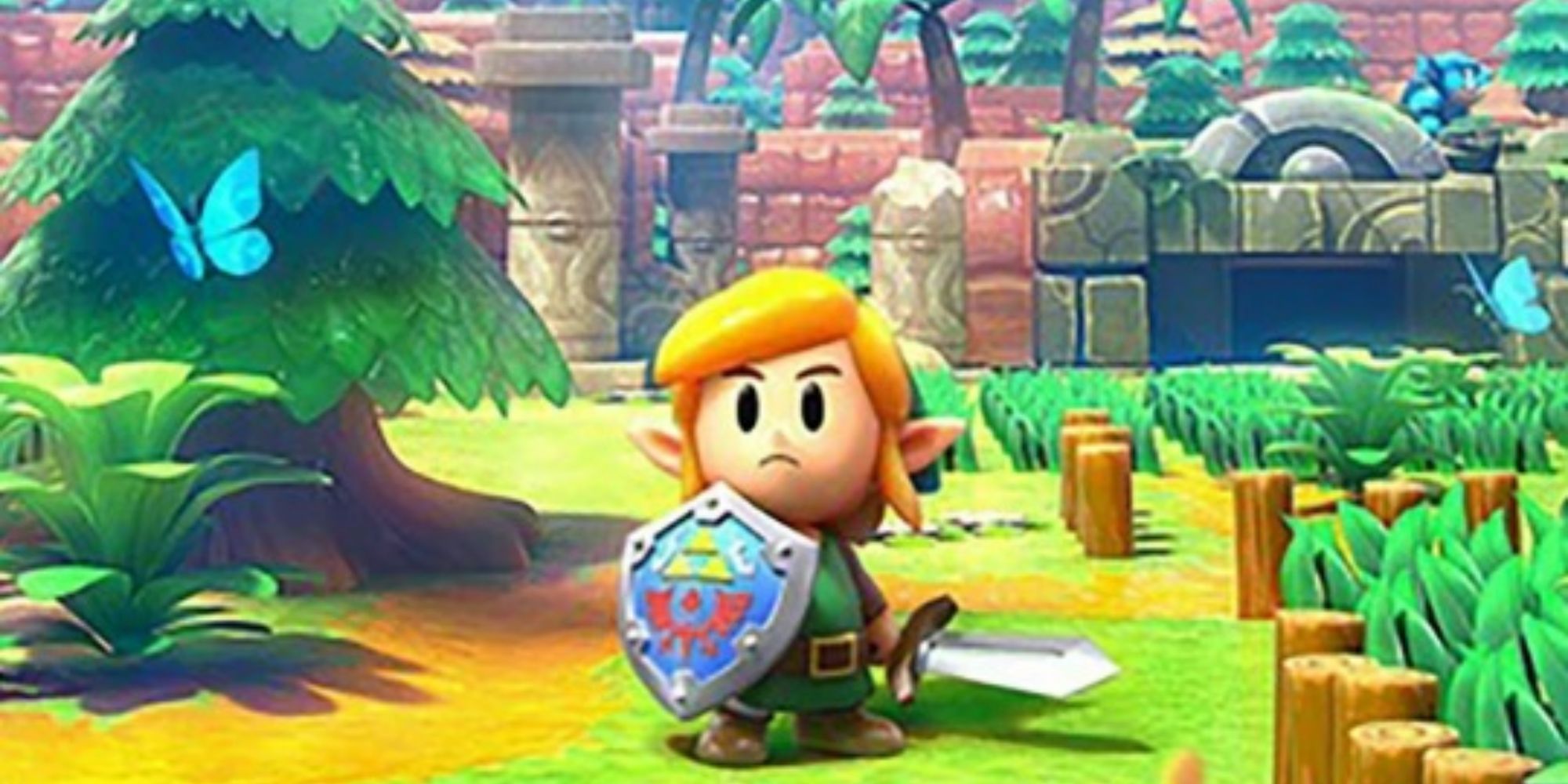 link holding his sword and shield