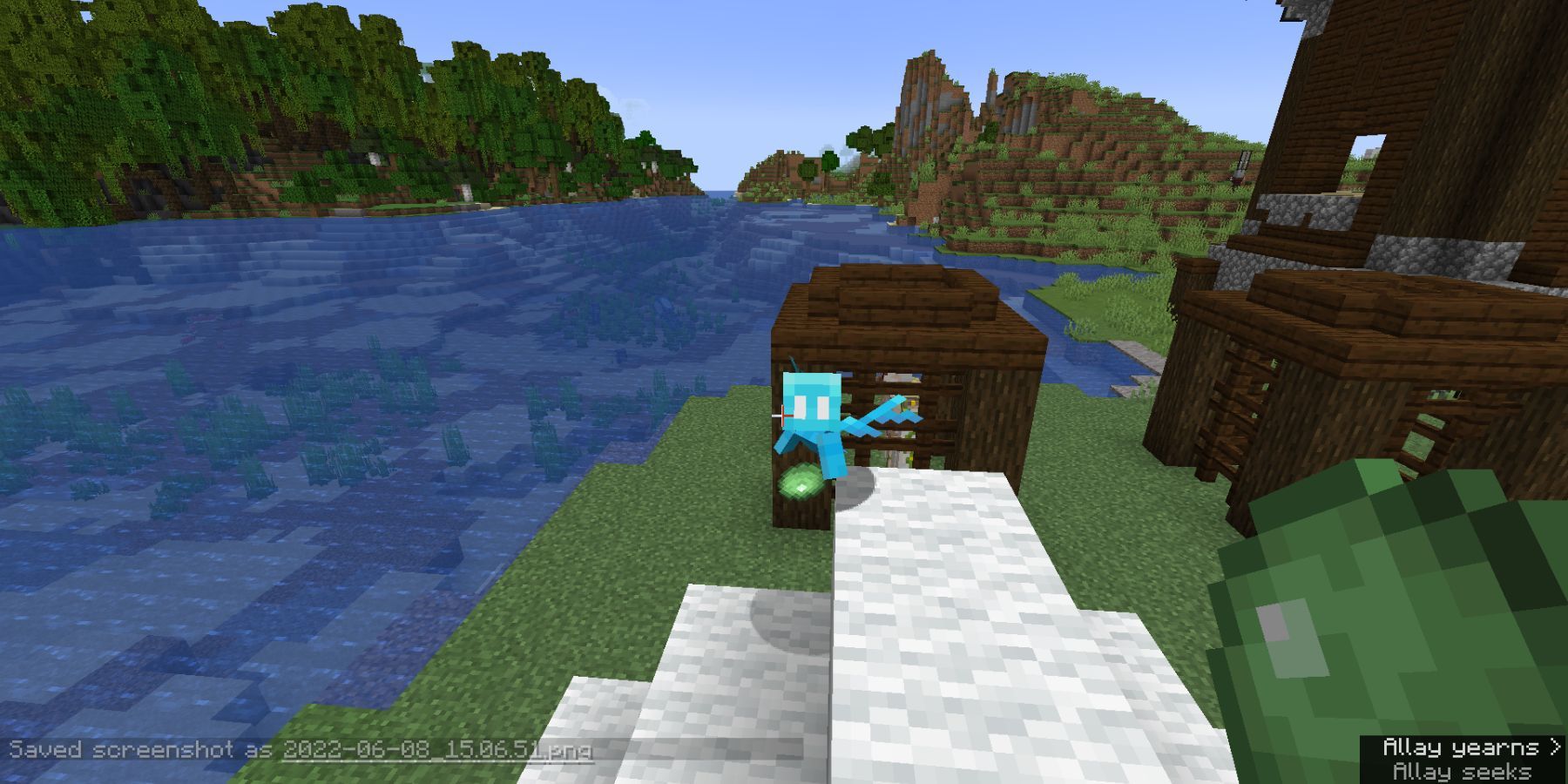 Minecraft how to find tame and use allays