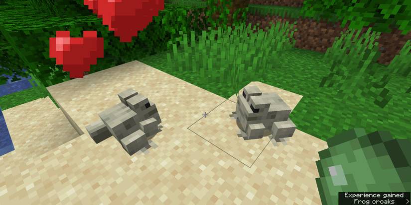 Minecraft Breeding Two Frogs