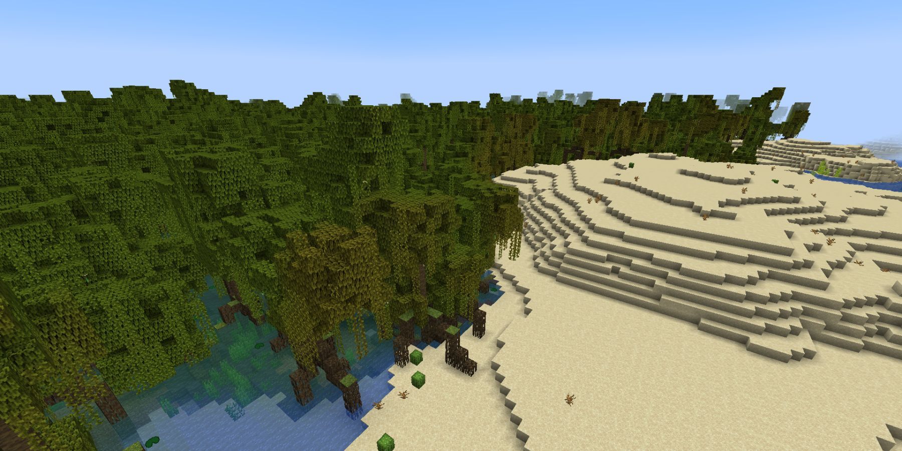 Minecraft Mangrove Swamp Next To Desert Biome