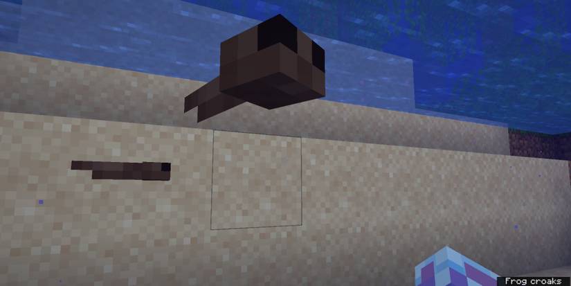 Minecraft Tadpole Up Close