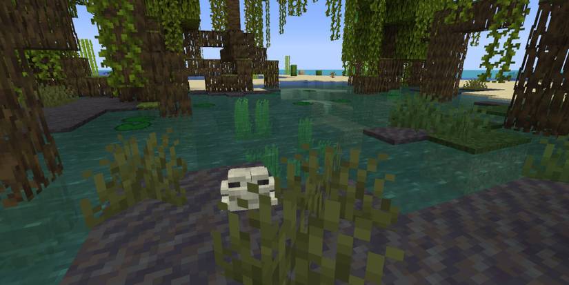 Minecraft White Frog In Mangrove Swamp Biome