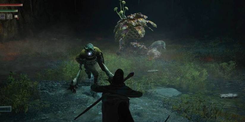 Miranda The Blighted Bloom And Omenkiller in elden ring