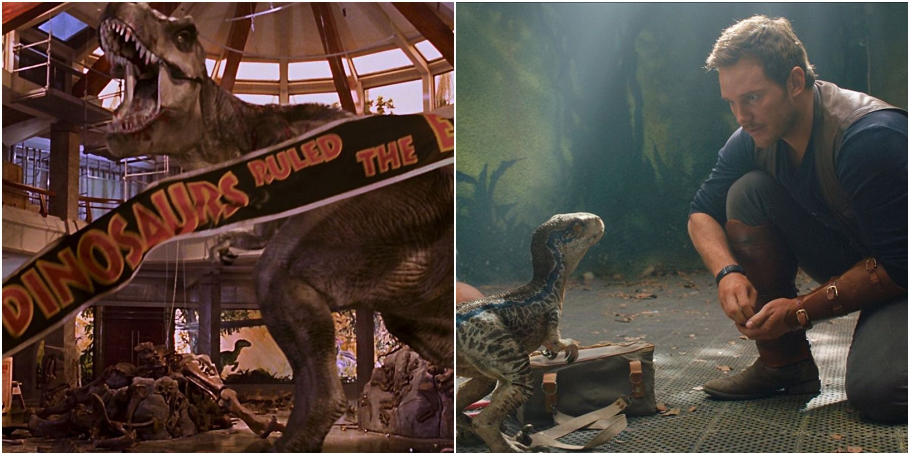 Overarching Narrative in Jurassic Park and Jurassic World: Fallen Kingdom