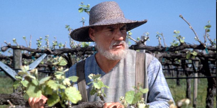 Picard in his Vineyard