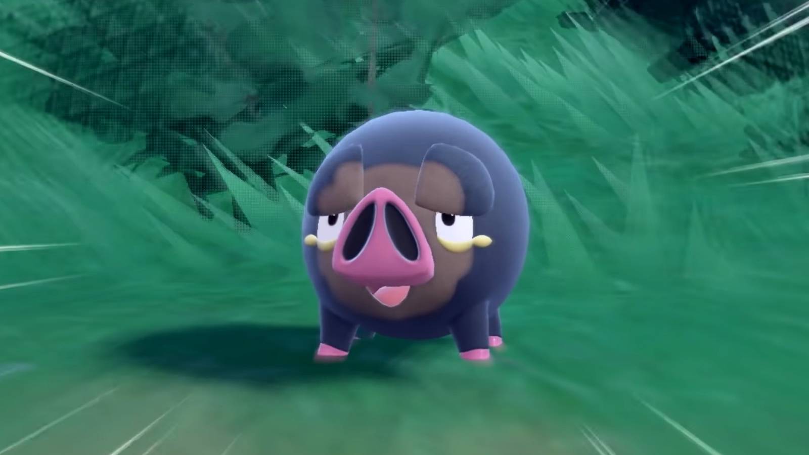 Pokemon Lechonk Animation