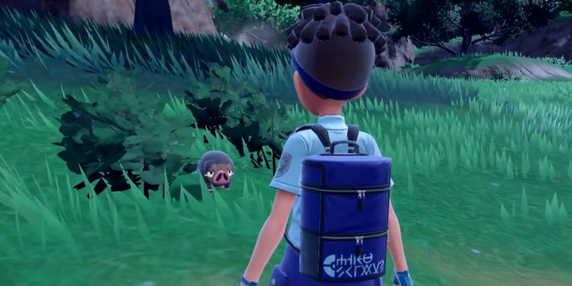 Pokemon Scarlet and Violet Lechonk Rug