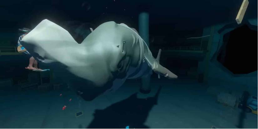 Shark Mask Raft Hidden Secrets In Raft
