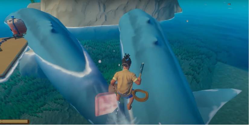 Raft forget rafting, ride a porpoise