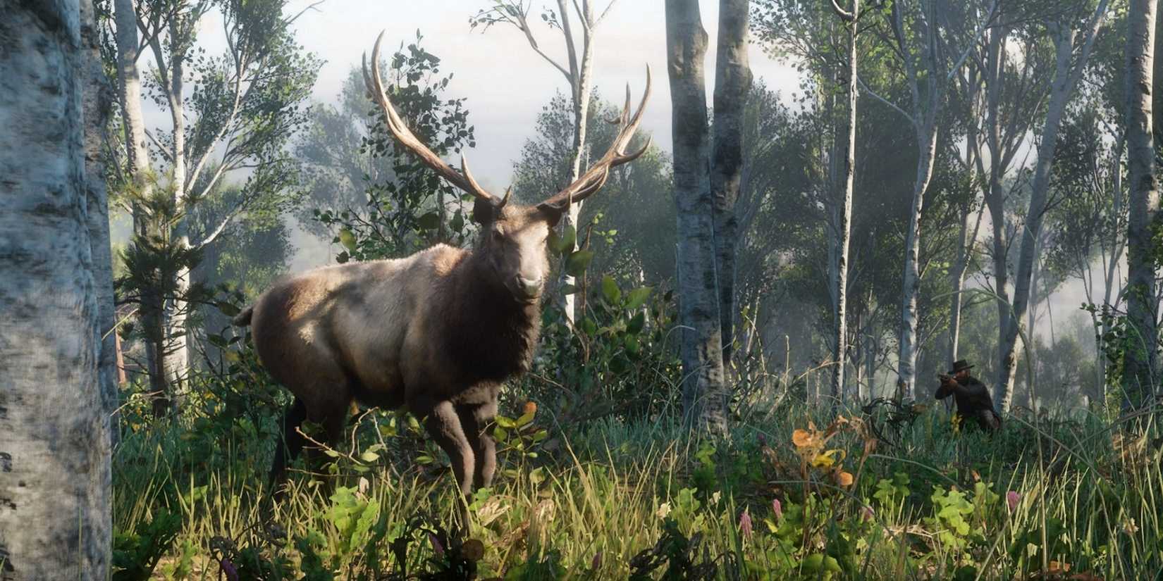 Stelth Rabbit Red Dead Redemption 2: 7 Hardest Animals To Hunt