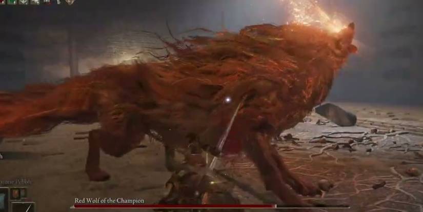 Red Wolf Of The Champion in elden ring