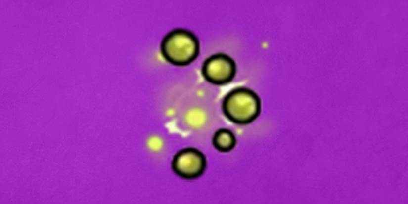 Rogue Legacy 2 Spells Fungal Spread