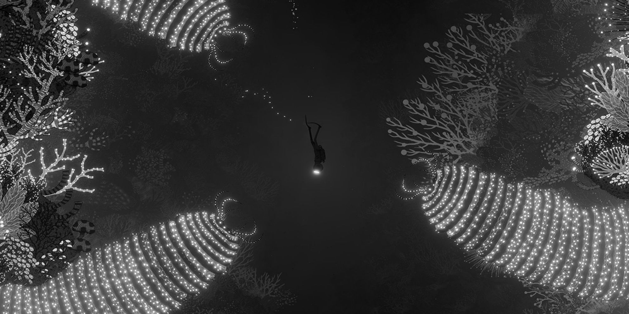 Beginner Tips For Silt