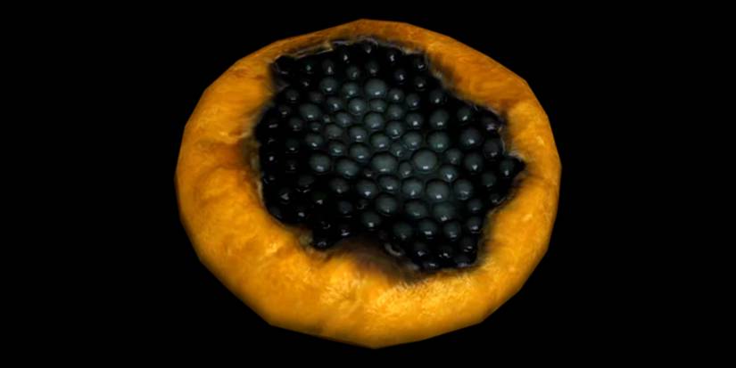 Skyrim Elder Scrolls Best Cooked Food Juniper Costata