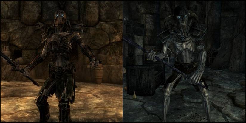 Skyrim Split Image Guardian Saerek And Guardian Torsten