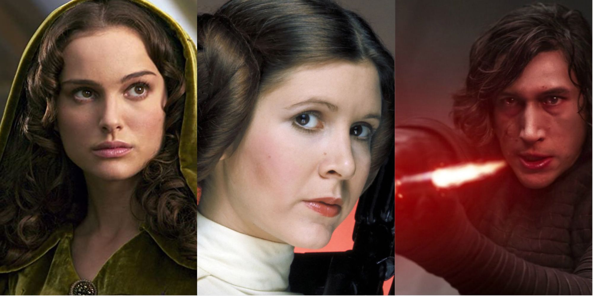 Star Wars Princess Leia Organa Ben Solo and Amidala