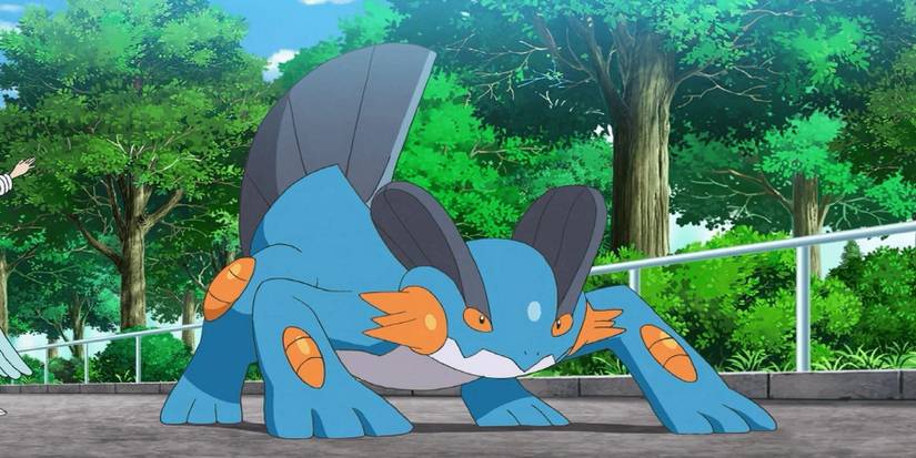 Swampert fighting