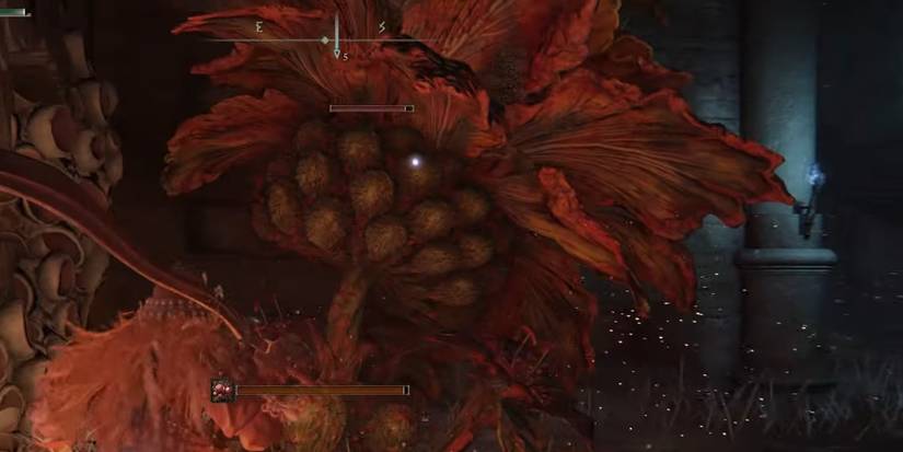 Tarnished Fighting A Big Flower 