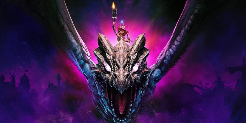 Tiny Tina's Wonderlands Video Game