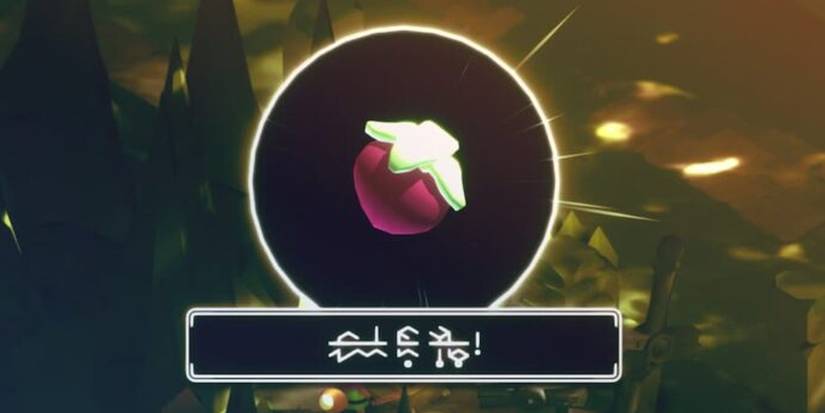 Tunic Indie Game Shop Items Fruit