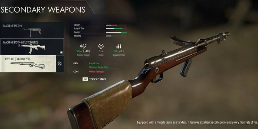 Type 100 customised stats