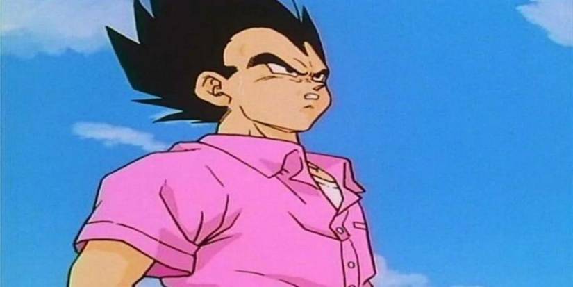 Vegeta wearing pink shirt