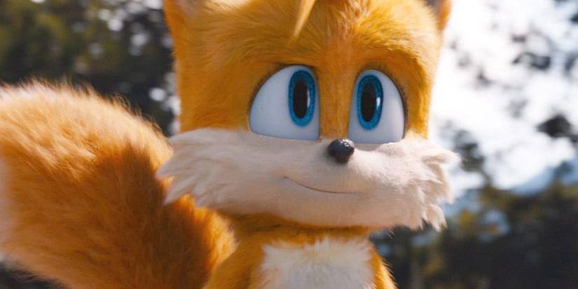 Video Game Foxes Iconic Tails Sonic The Hedgehog