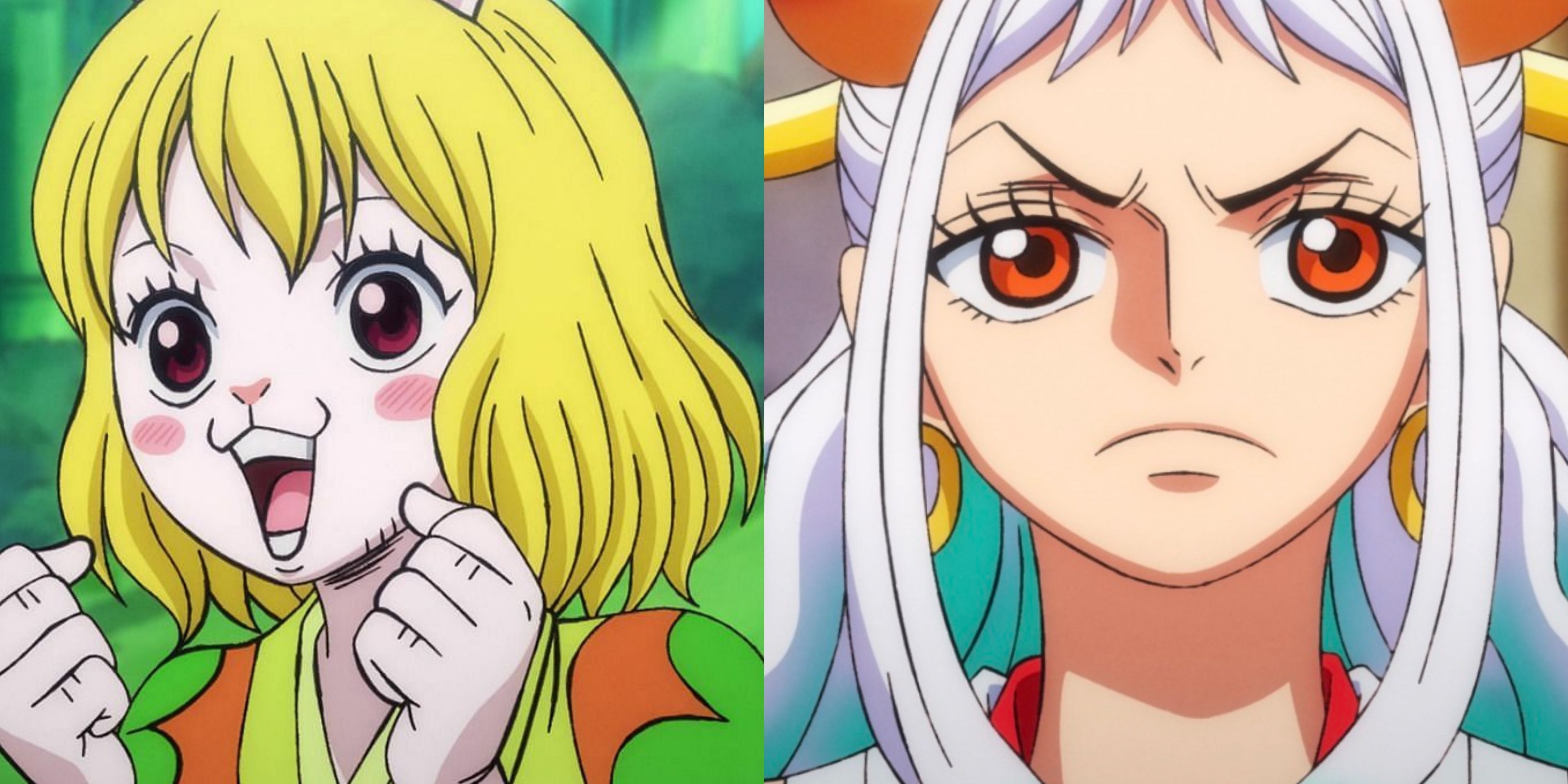 What Will Happen To Carrot Once Yamato Joins The Crew?