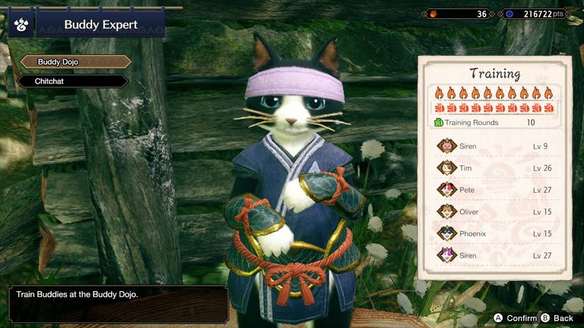 buddy expert mh rise buddy plaza