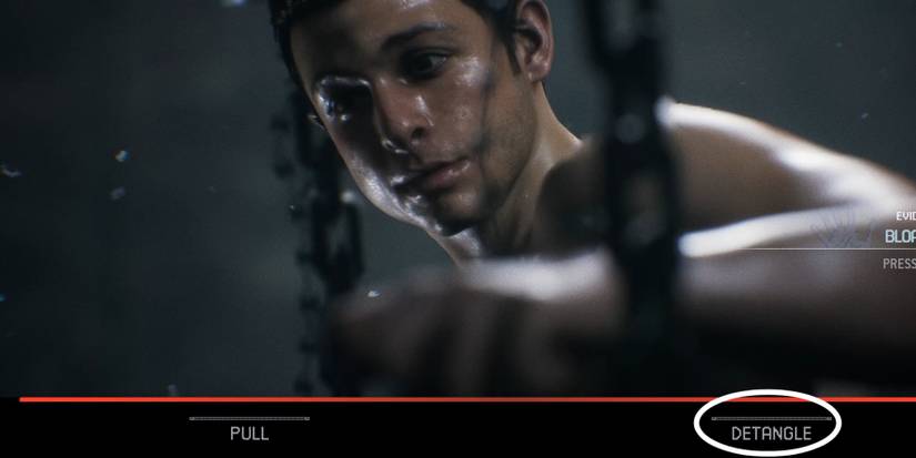 detangle-option-in-the-quarry-1