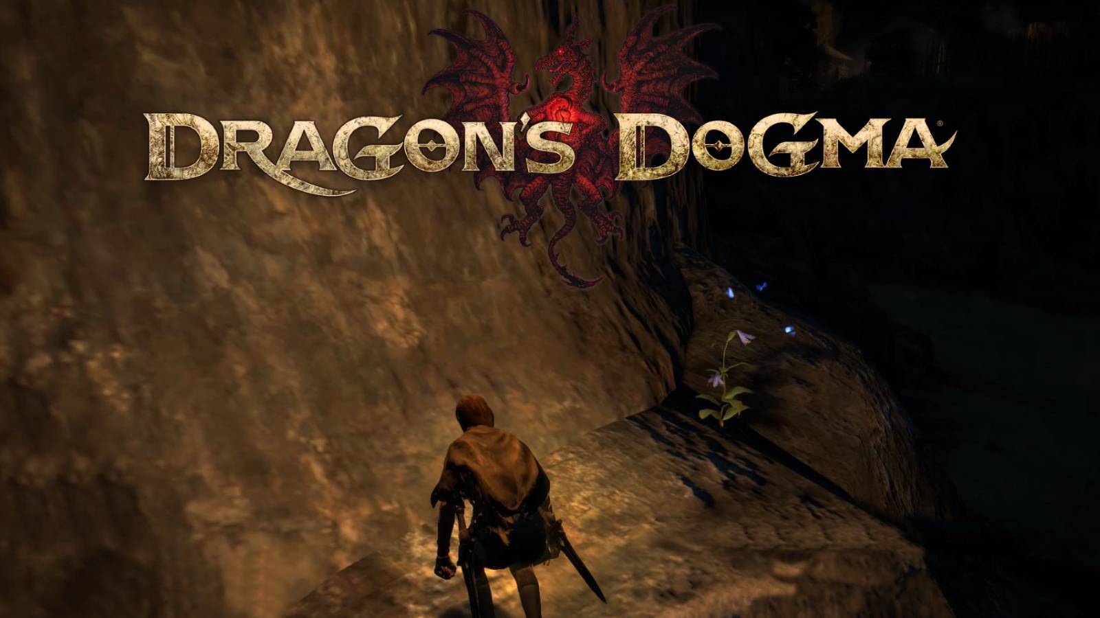 dragons dogma moonglow and logo