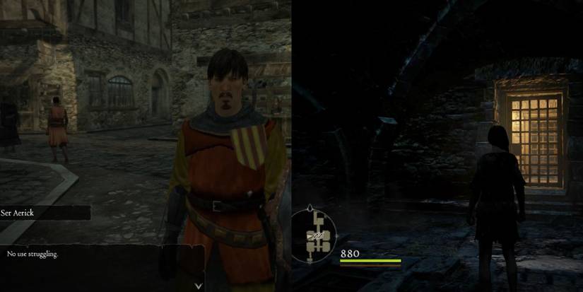 dragons dogma thrown in jail