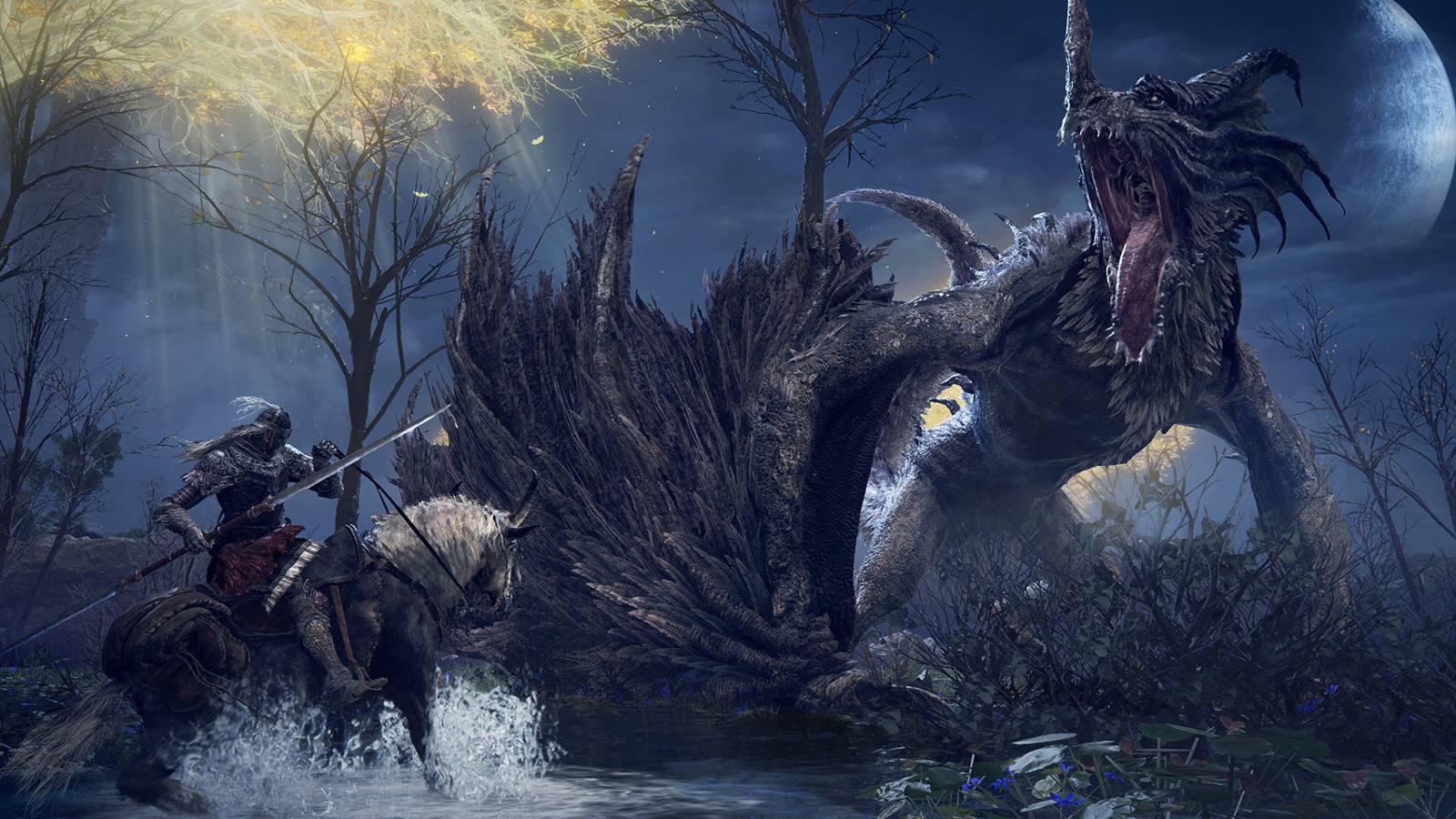 elden ring small dragon encounter