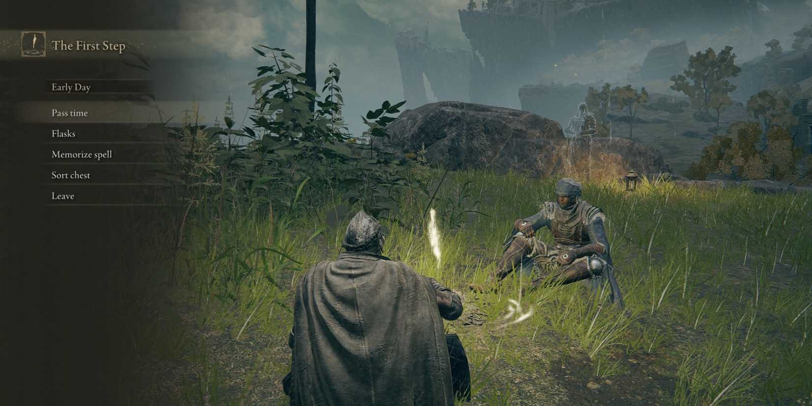 elden ring seamless co-op mod