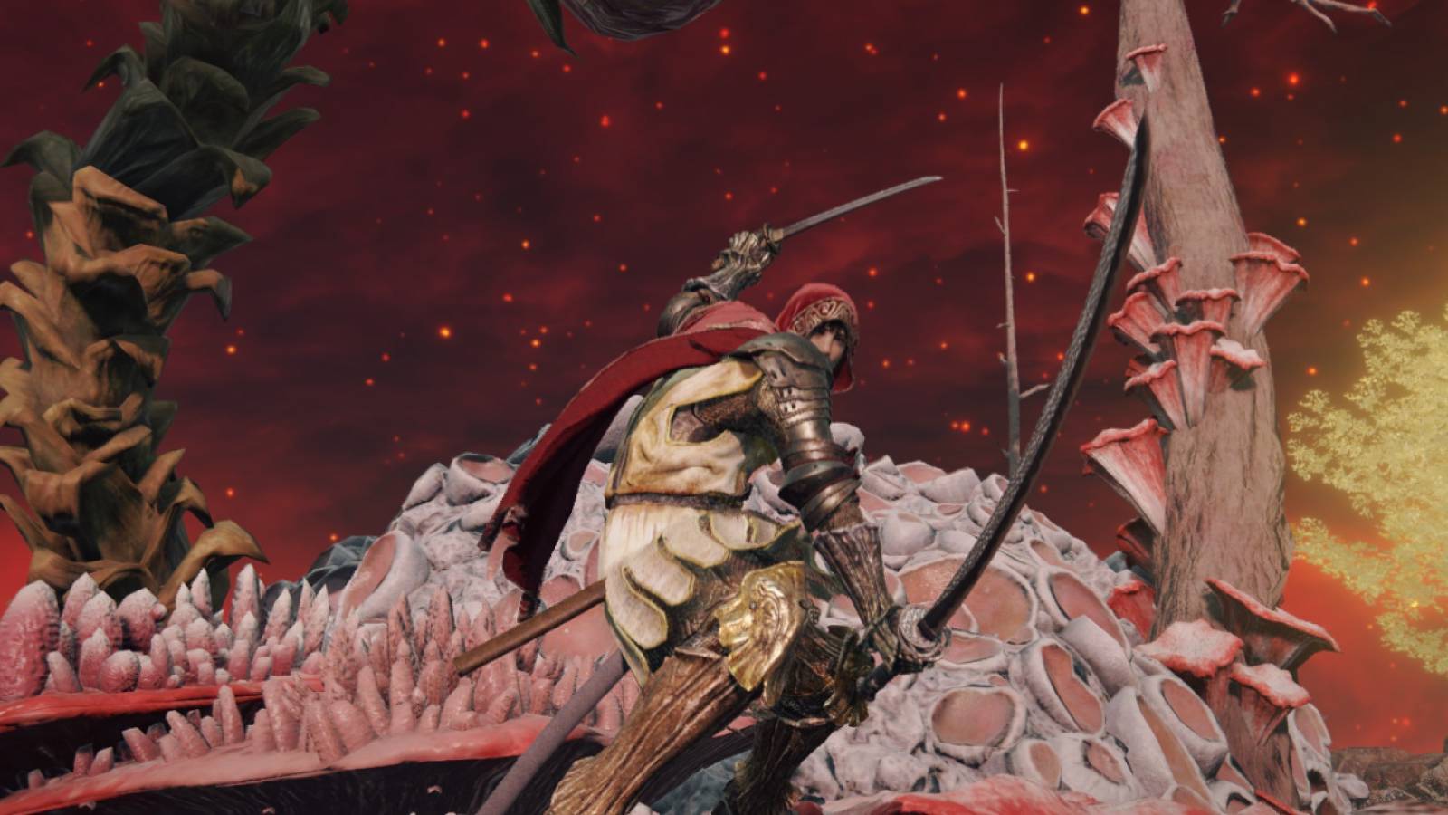 Elden Ring Wakizashi Combat