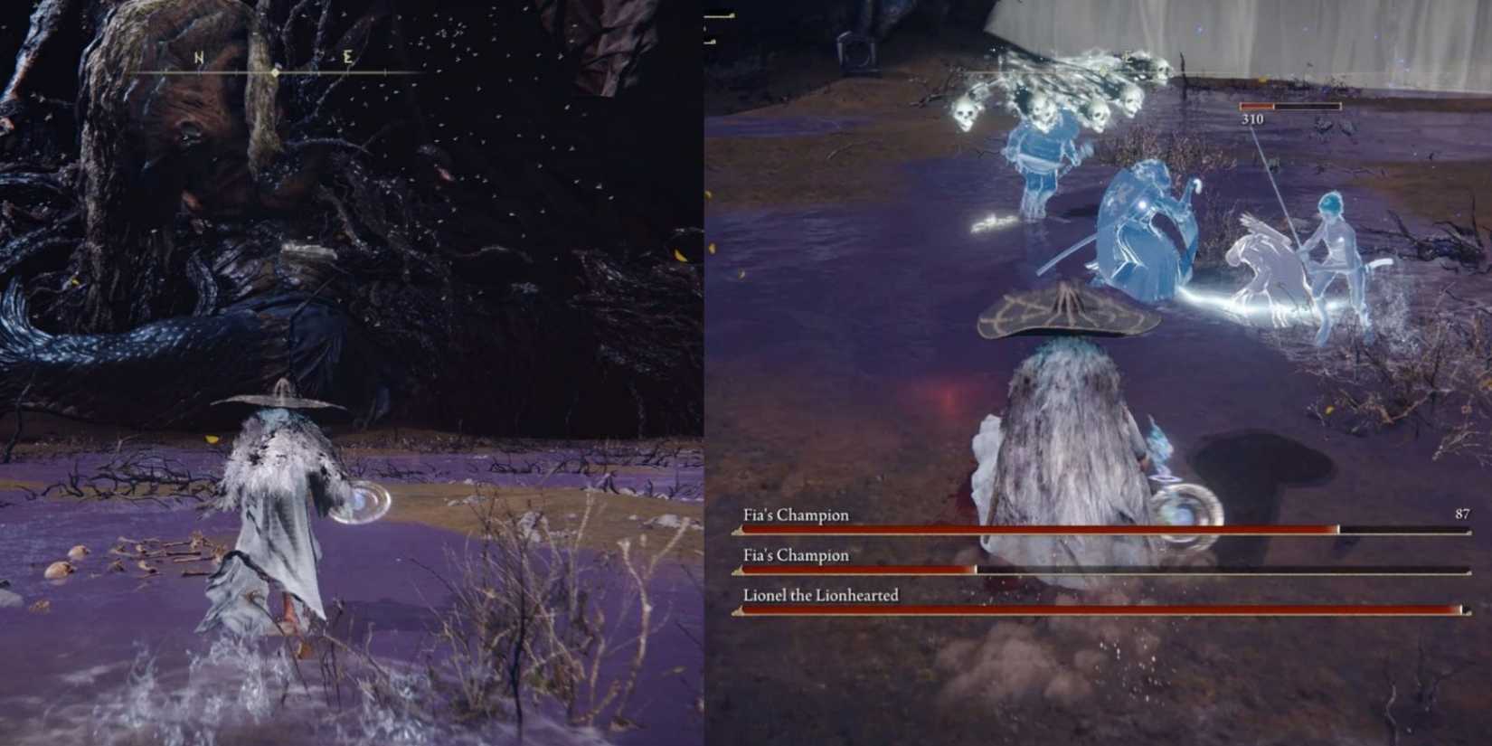 fia's champion in elden ring