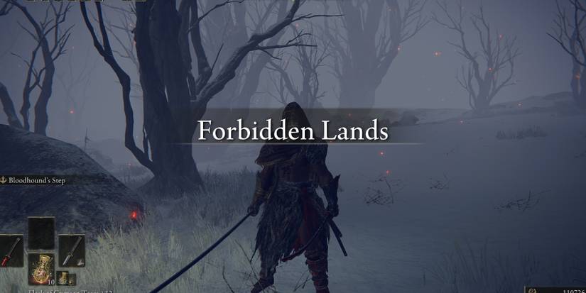 forbidden lands bosses in elden ring